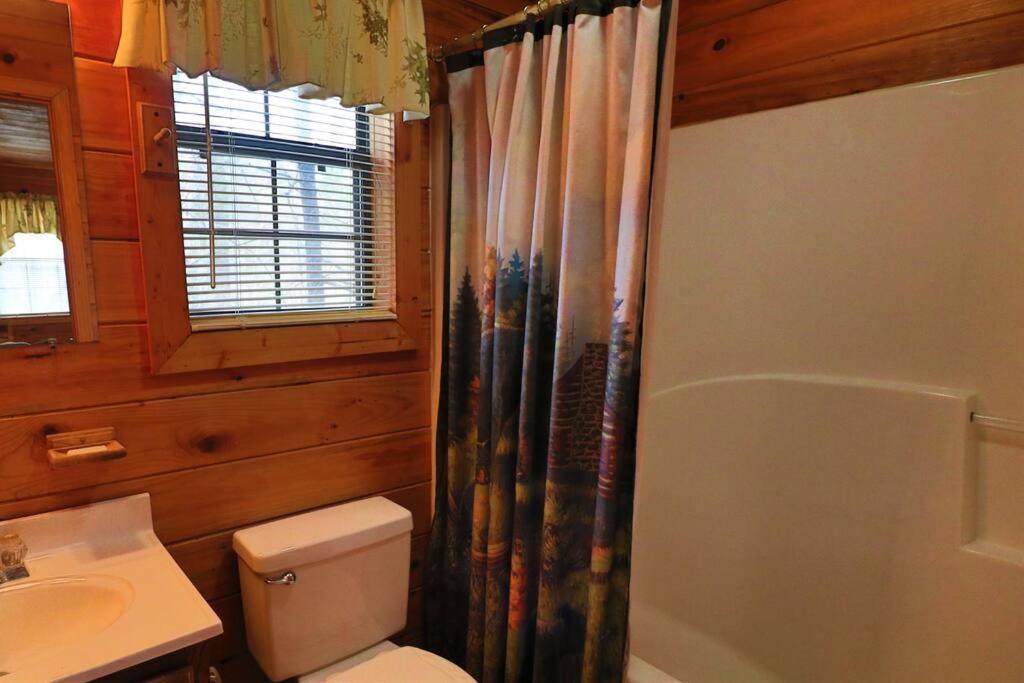Mountain Cabin 2B Jacuzzi #10 Helen Kültér fotó