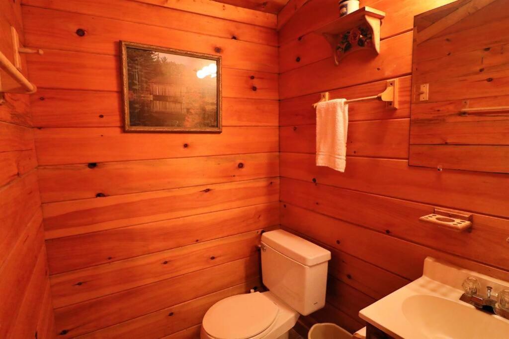 Mountain Cabin 2B Jacuzzi #10 Helen Kültér fotó