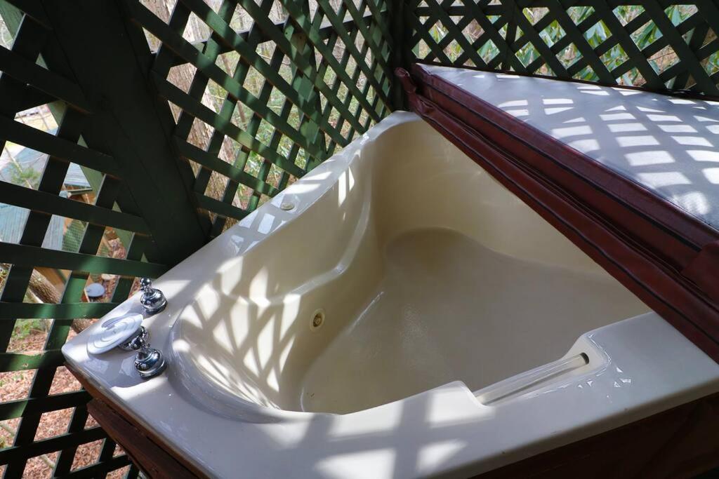Mountain Cabin 2B Jacuzzi #10 Helen Kültér fotó