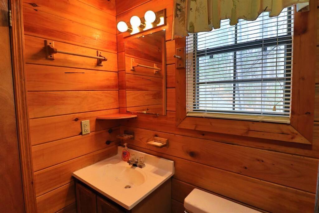 Mountain Cabin 2B Jacuzzi #10 Helen Kültér fotó